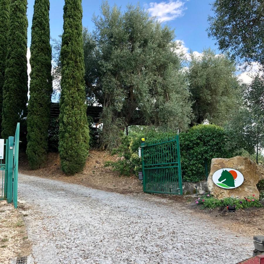 Agriturismo Poggio Del Drago Montemerano Dış mekan fotoğraf