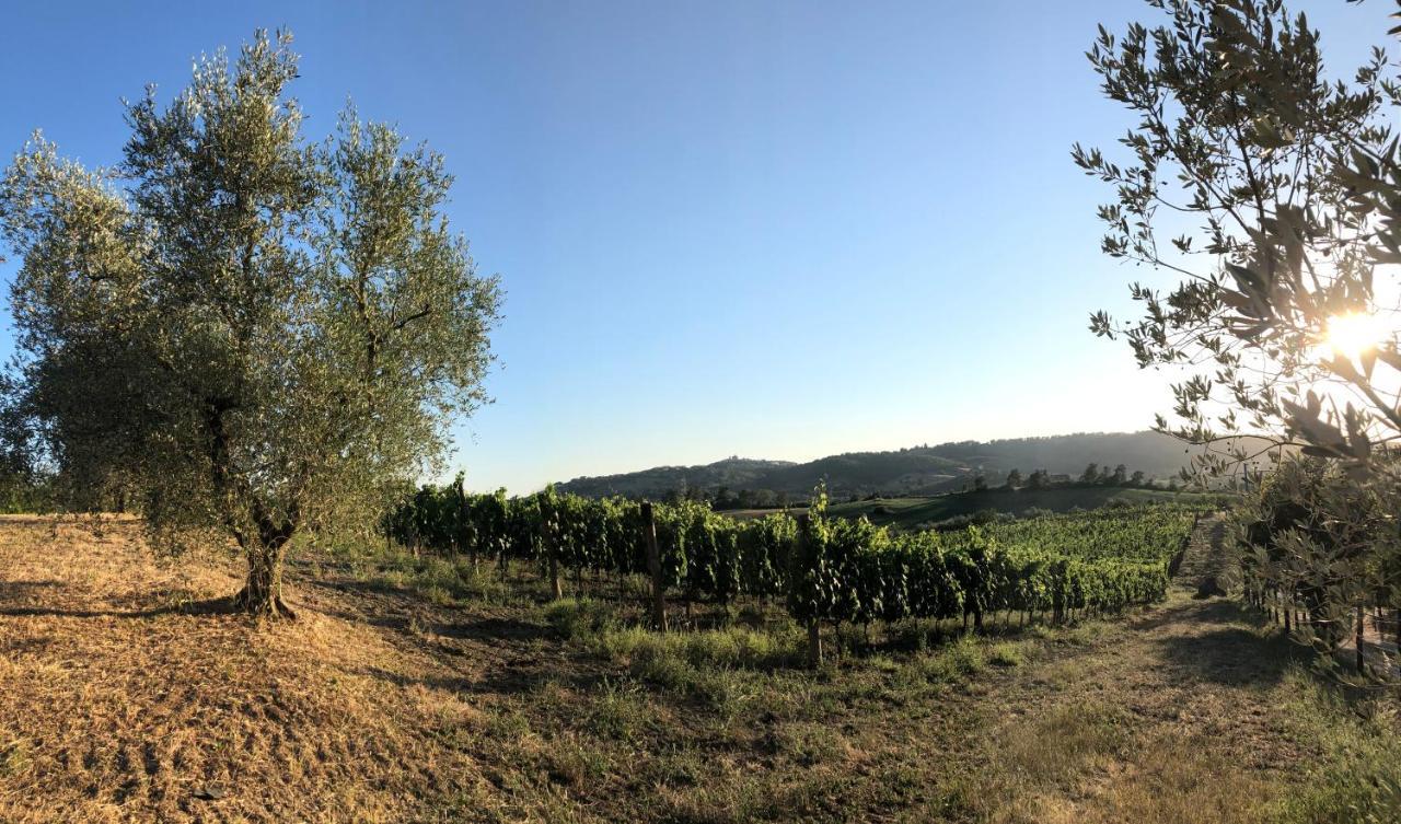 Agriturismo Poggio Del Drago Montemerano Dış mekan fotoğraf