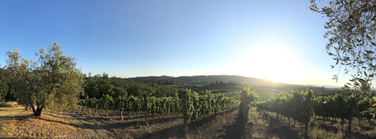 Agriturismo Poggio Del Drago Montemerano Dış mekan fotoğraf