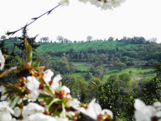Agriturismo Poggio Del Drago Montemerano Dış mekan fotoğraf