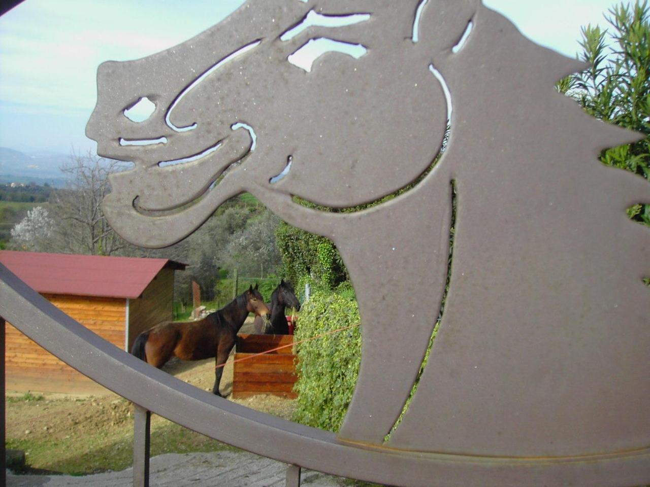 Agriturismo Poggio Del Drago Montemerano Dış mekan fotoğraf