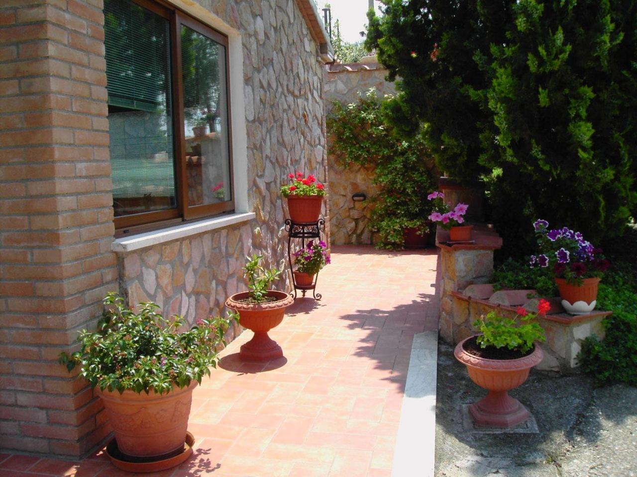 Agriturismo Poggio Del Drago Montemerano Dış mekan fotoğraf