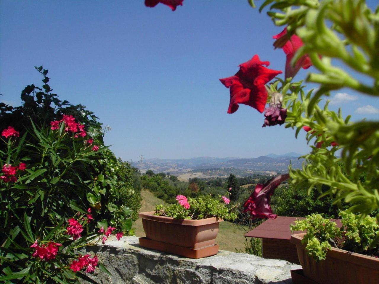 Agriturismo Poggio Del Drago Montemerano Dış mekan fotoğraf