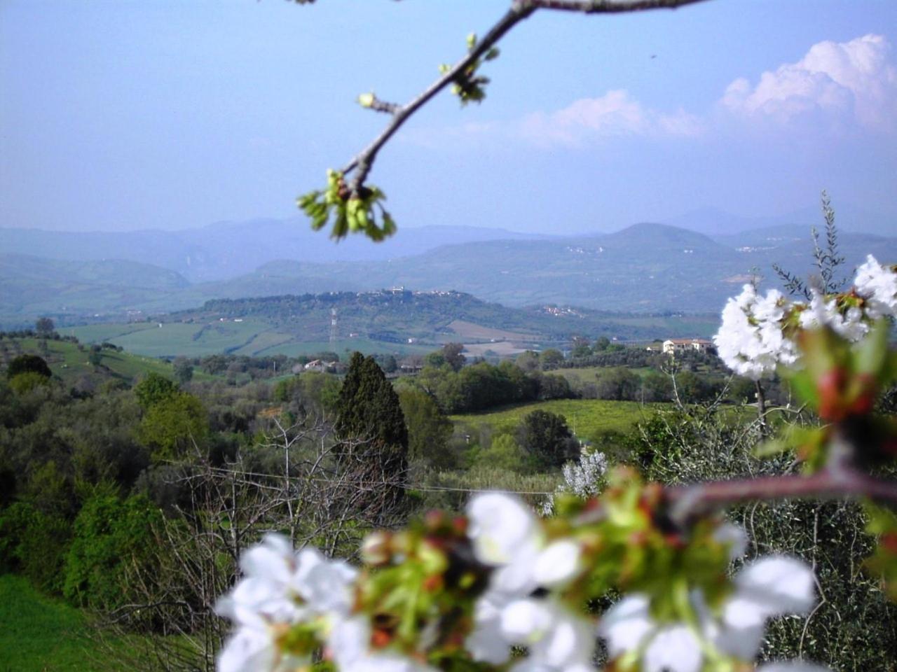 Agriturismo Poggio Del Drago Montemerano Dış mekan fotoğraf