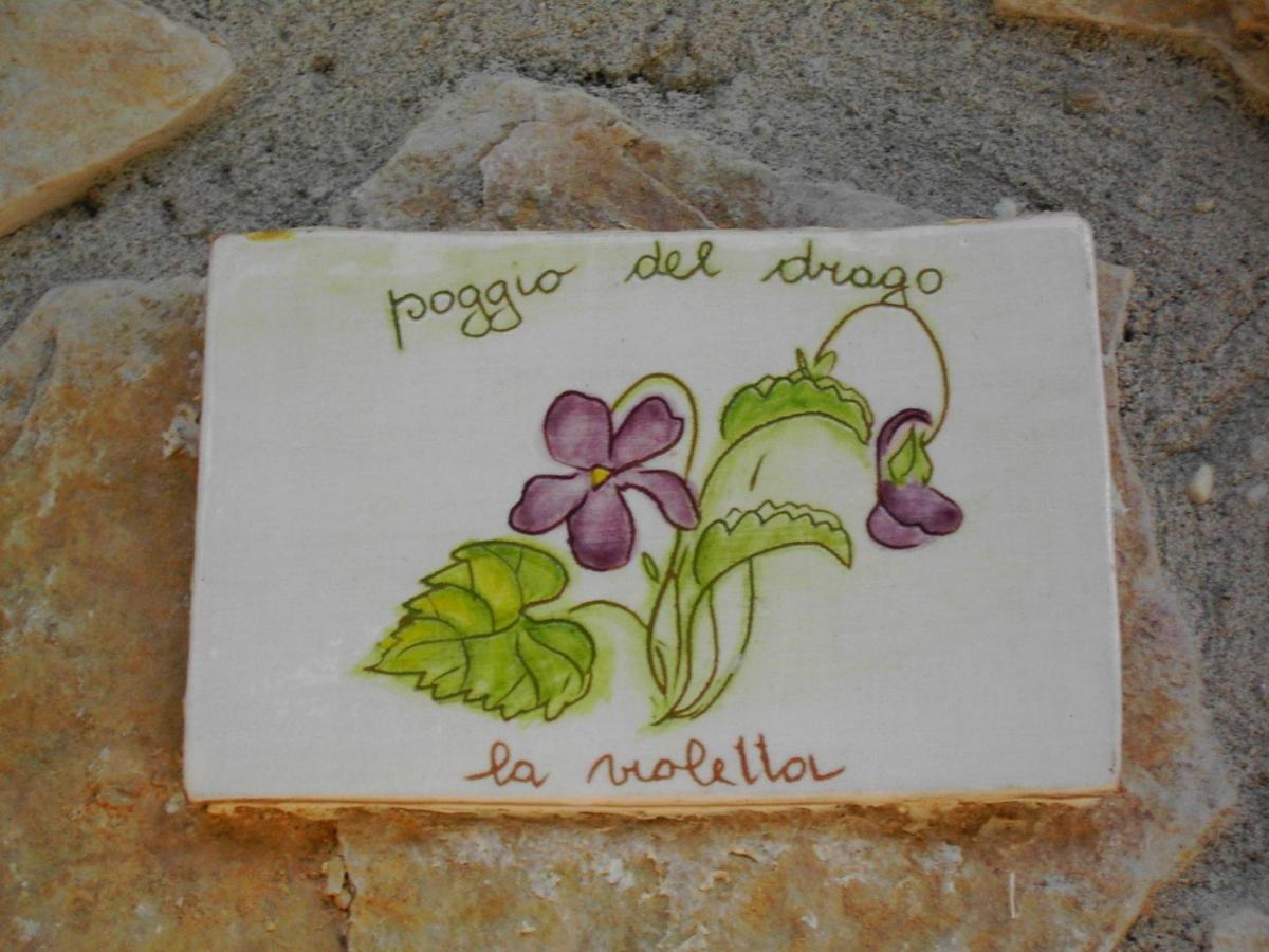 Agriturismo Poggio Del Drago Montemerano Oda fotoğraf